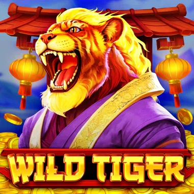 Wild Tiger slot game on Zoome Casino app